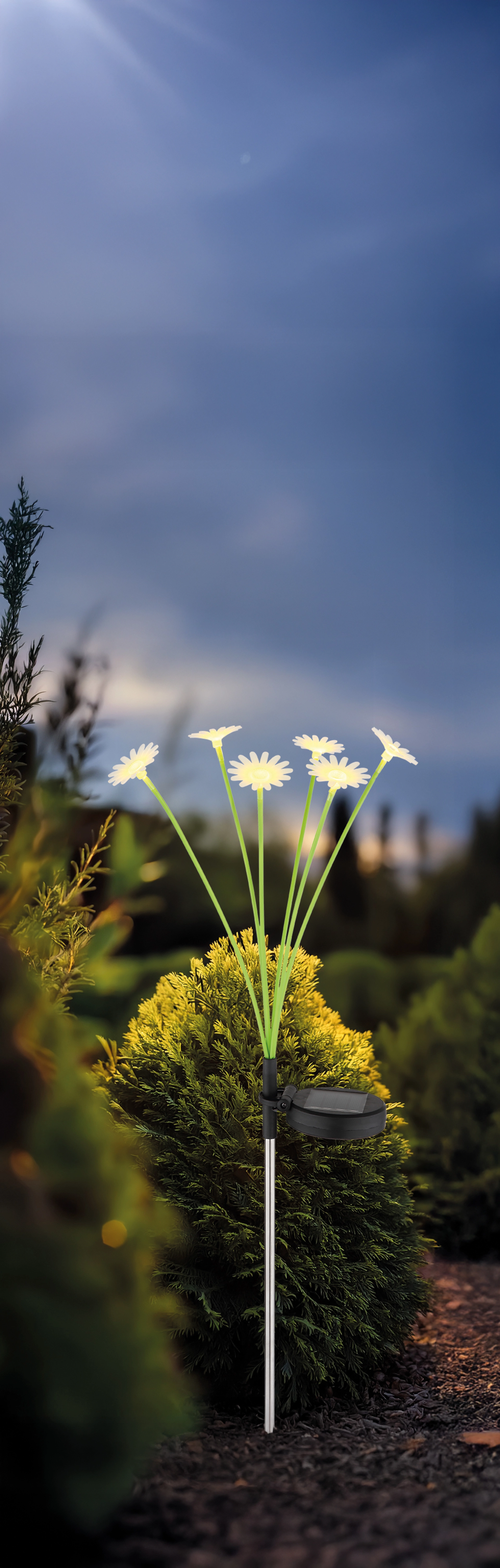 SOLARLEUCHTE EDELSTAHL, 6XLED