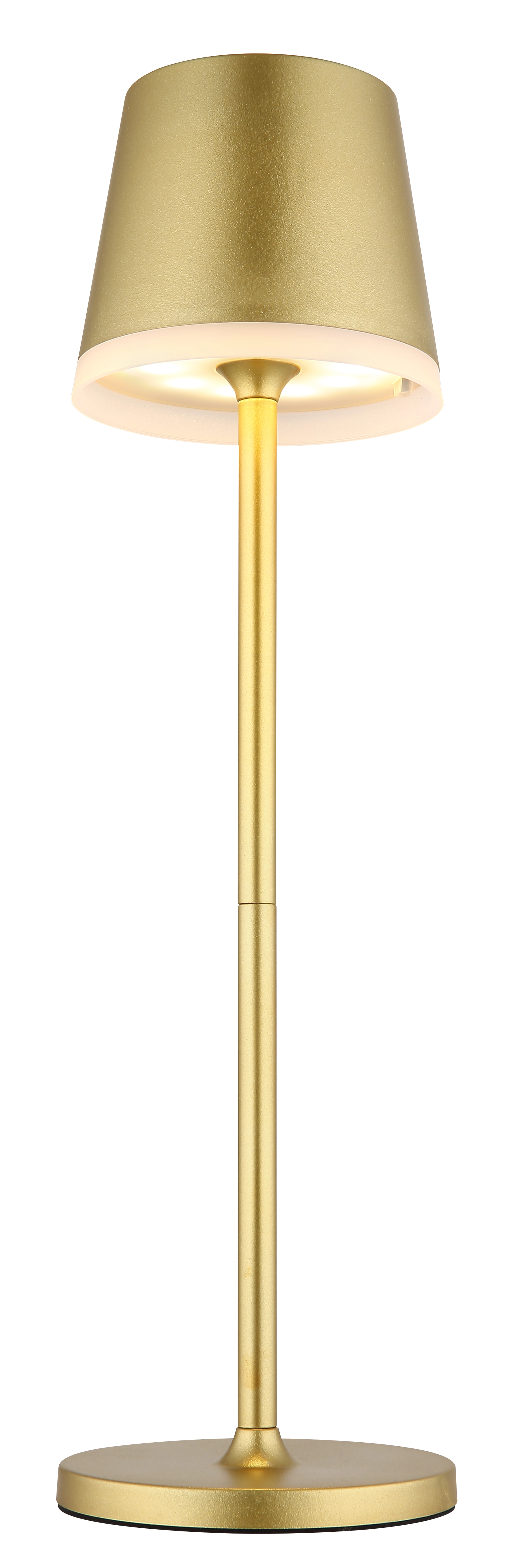 SOLARLEUCHTE METALL GOLDFARBEN, 10XLED