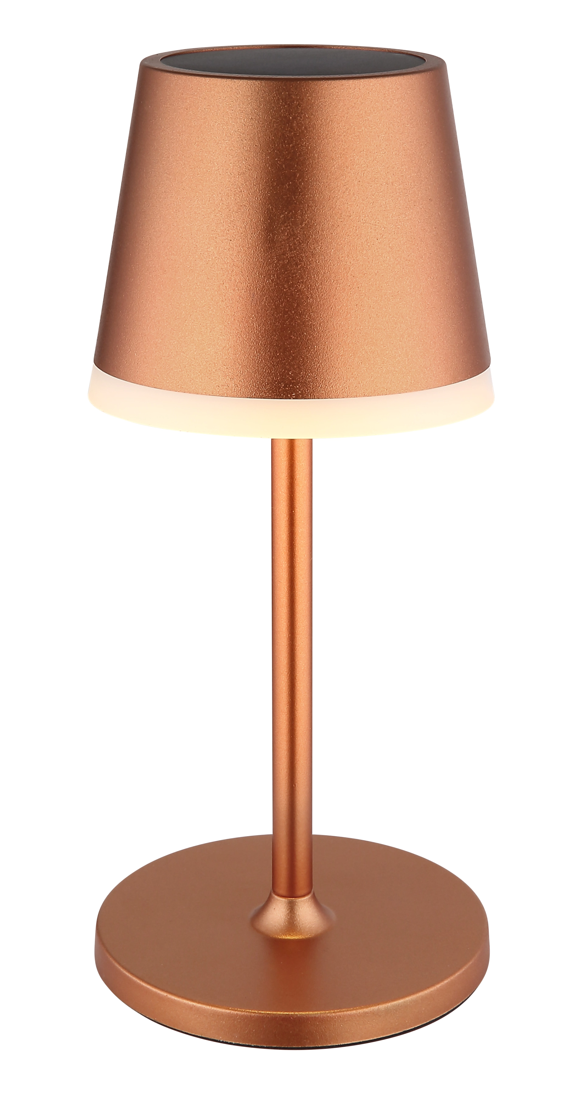 SOLARLEUCHTE METALL CHAMPAGNERFARBEN, 10XLED