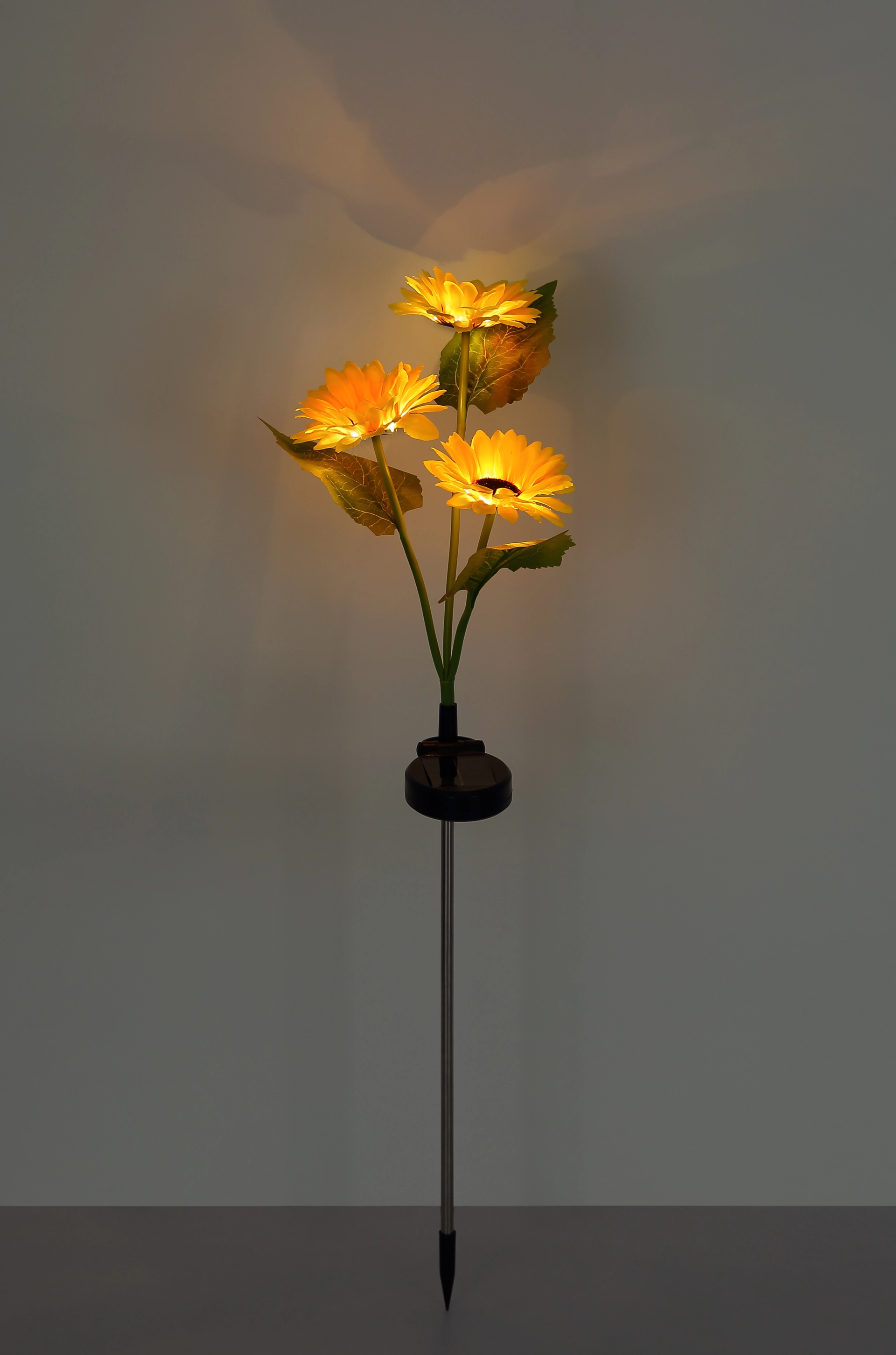 SOLAR