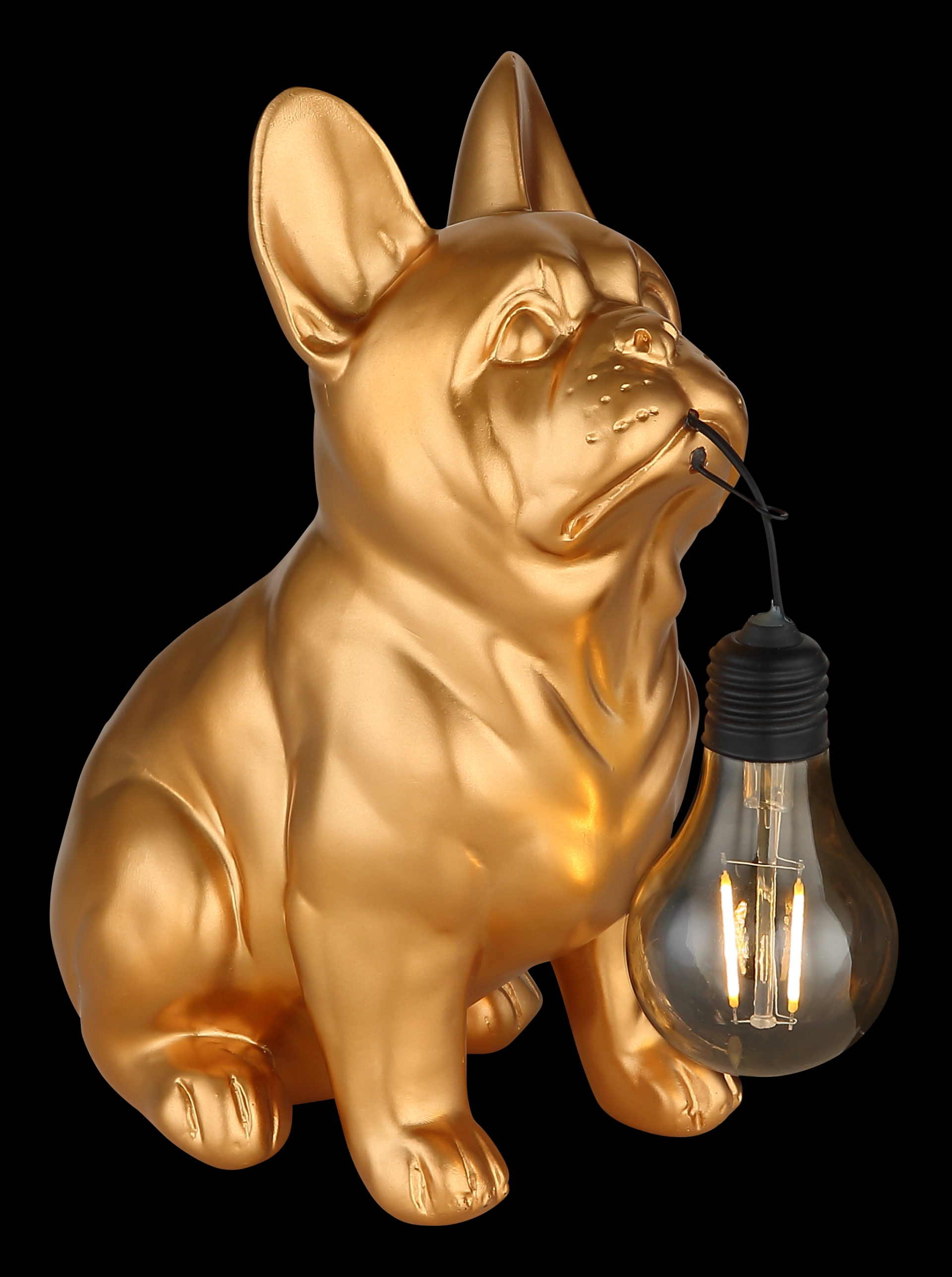 SOLARLEUCHTE KUNSTSTOFF GOLD MATT, 1XLED