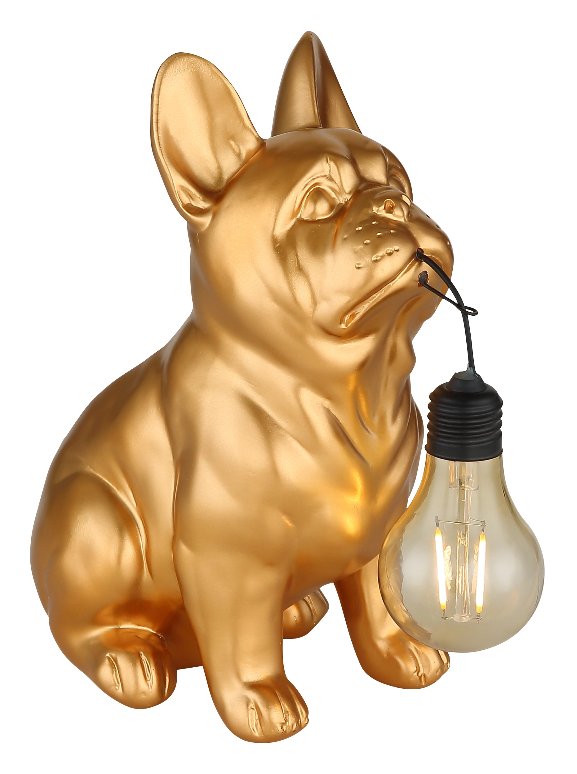 SOLARLEUCHTE KUNSTSTOFF GOLD MATT, 1XLED