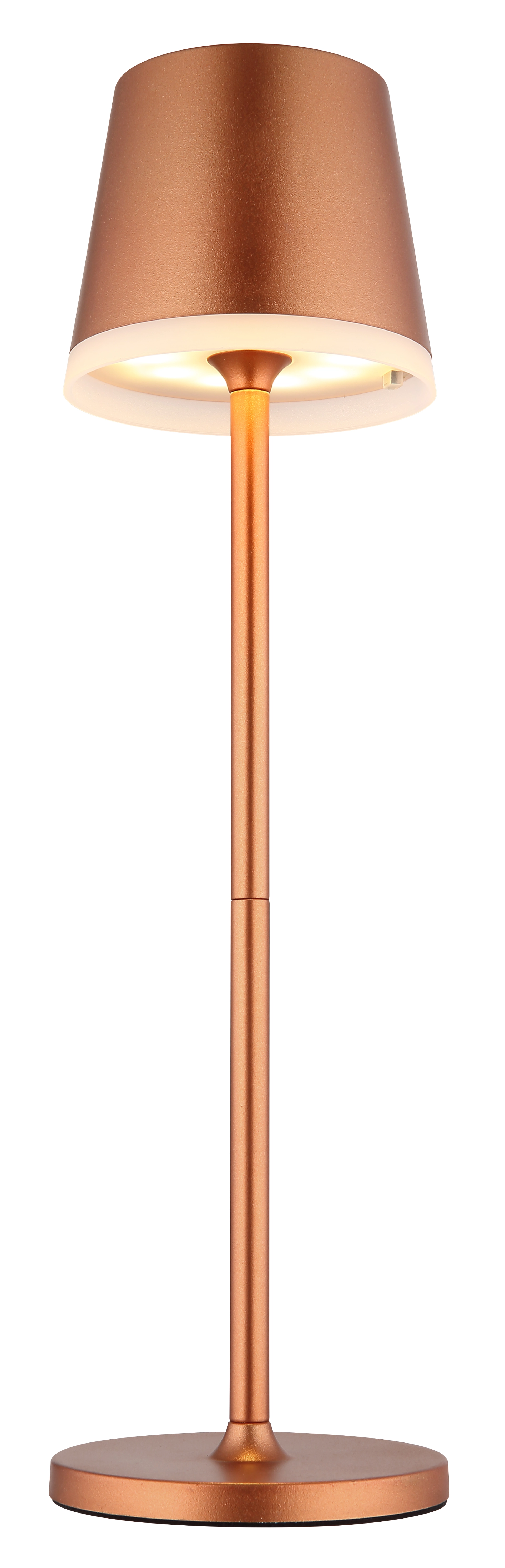 SOLARLEUCHTE METALL CHAMPAGNERFARBEN, 10XLED