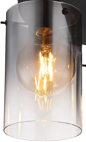 ERSATZGLAS RAUCHFARBEN, DURCHMESSER 12,5CM