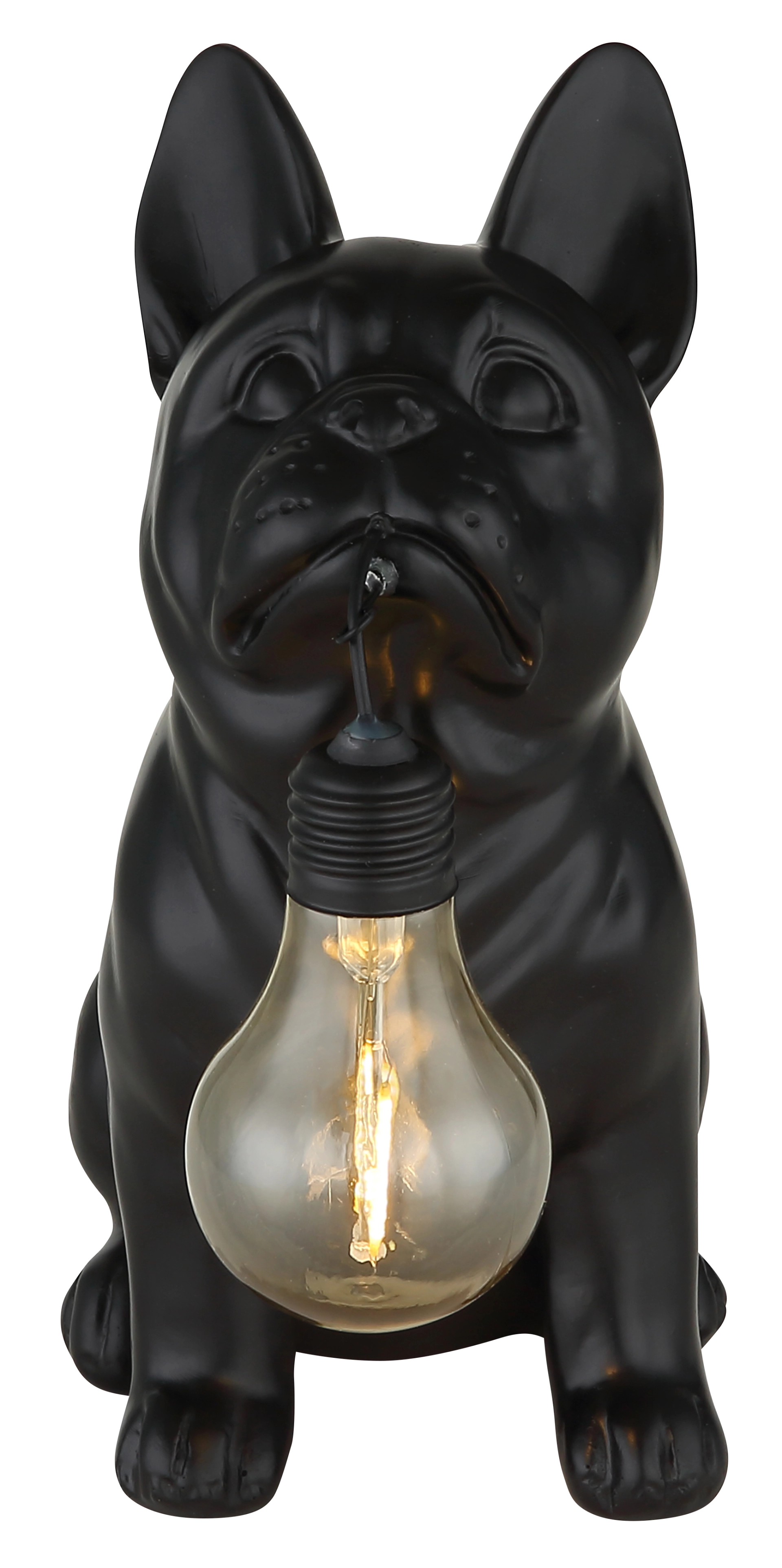 SOLARLEUCHTE KUNSTSTOFF SCHWARZ MATT, 1XLED