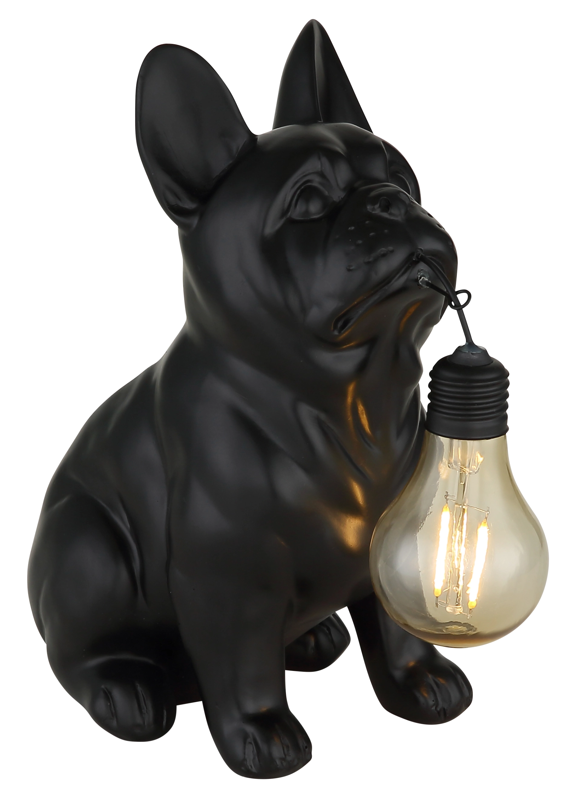 SOLARLEUCHTE KUNSTSTOFF SCHWARZ MATT, 1XLED