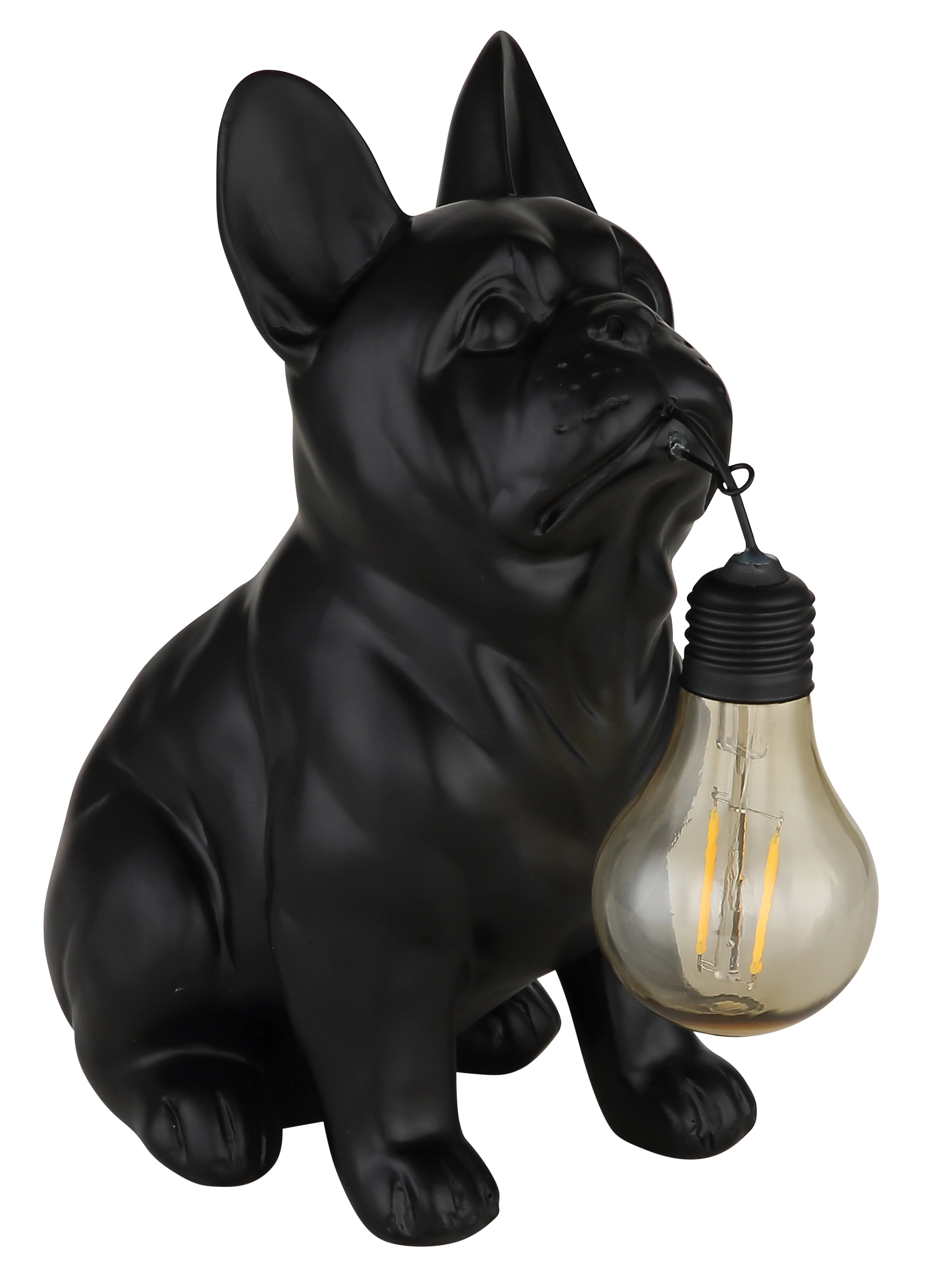 SOLARLEUCHTE KUNSTSTOFF SCHWARZ MATT, 1XLED