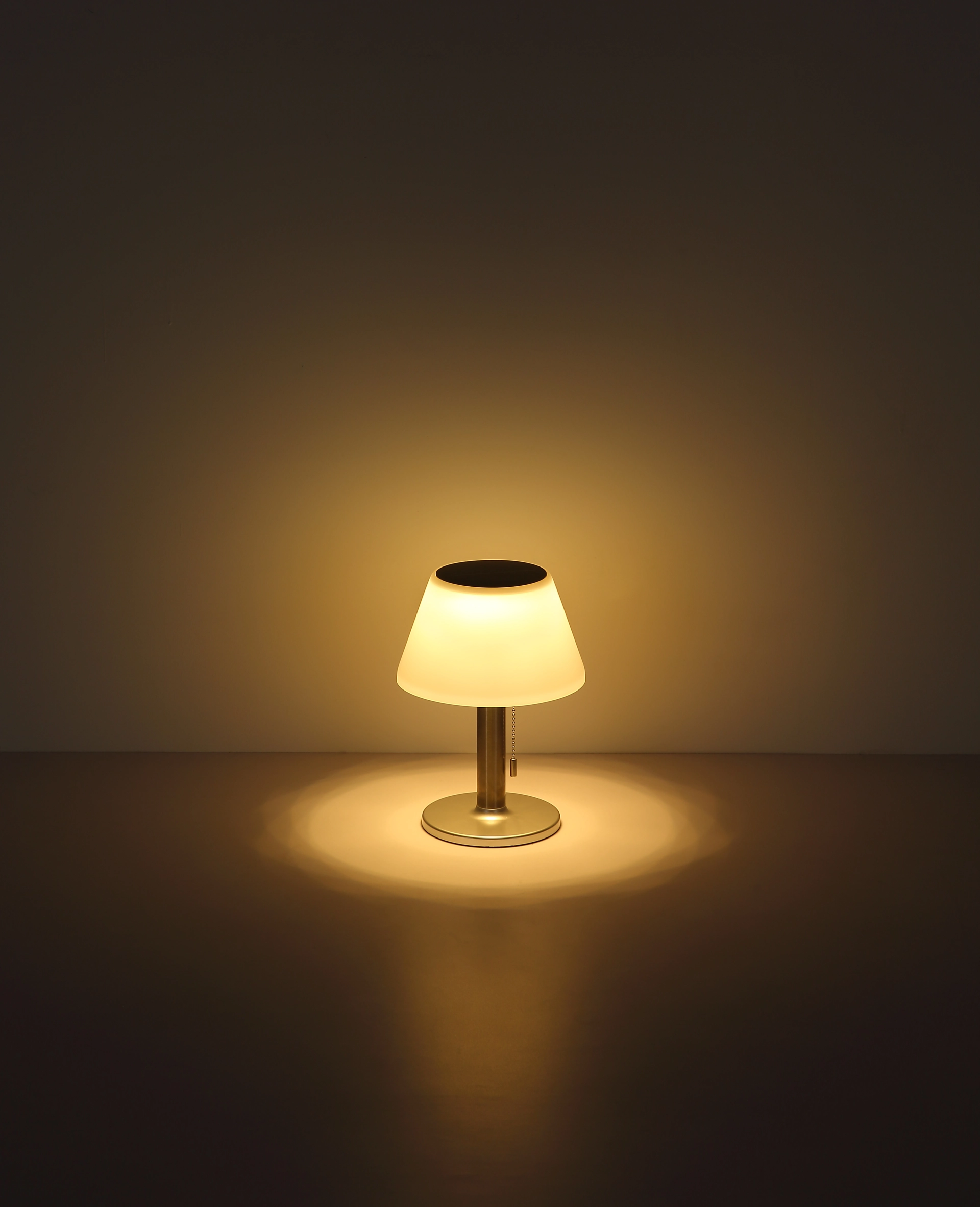 SOLARLEUCHTE EDELSTAHL, 10XLED