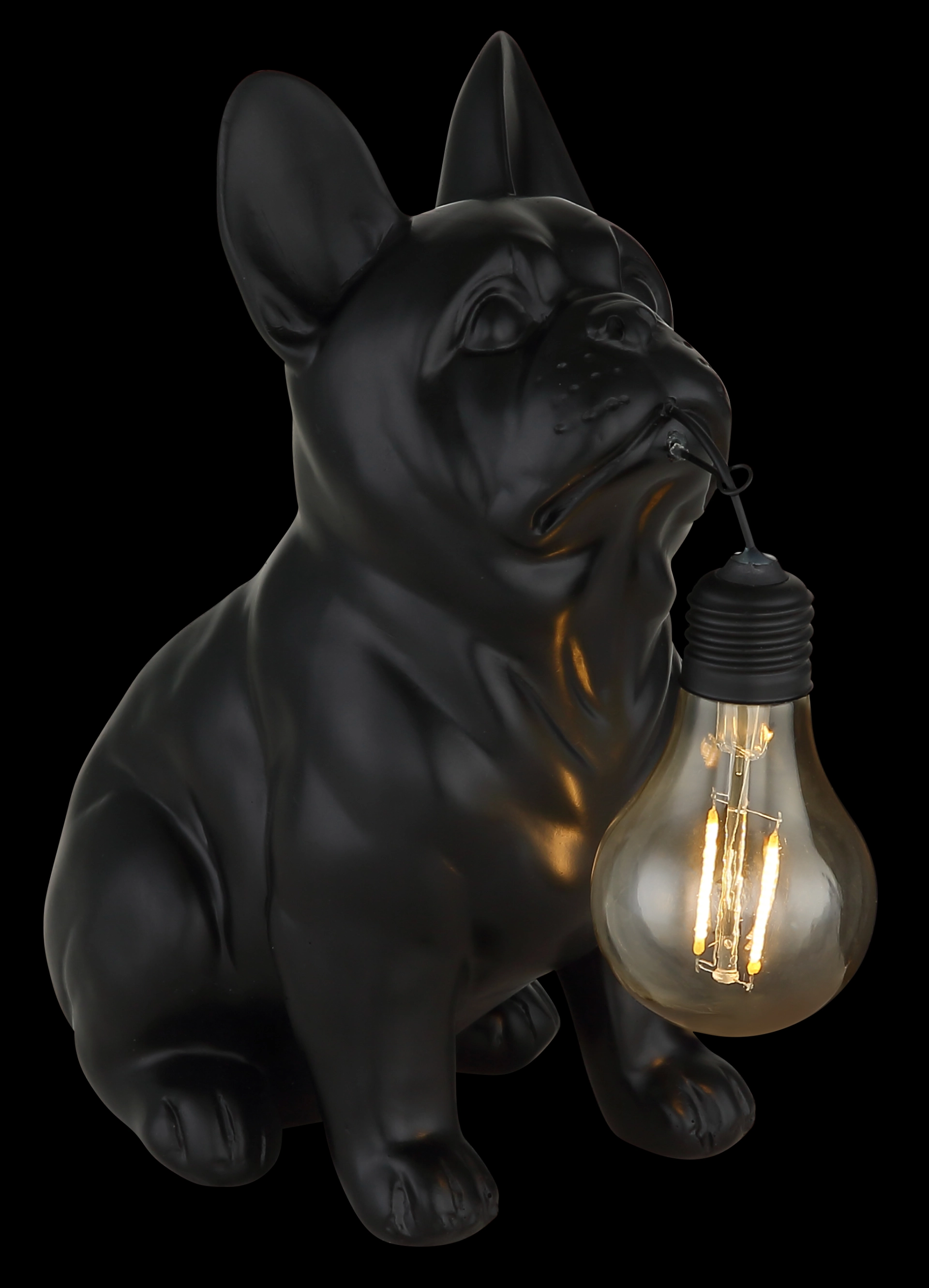 SOLARLEUCHTE KUNSTSTOFF SCHWARZ MATT, 1XLED