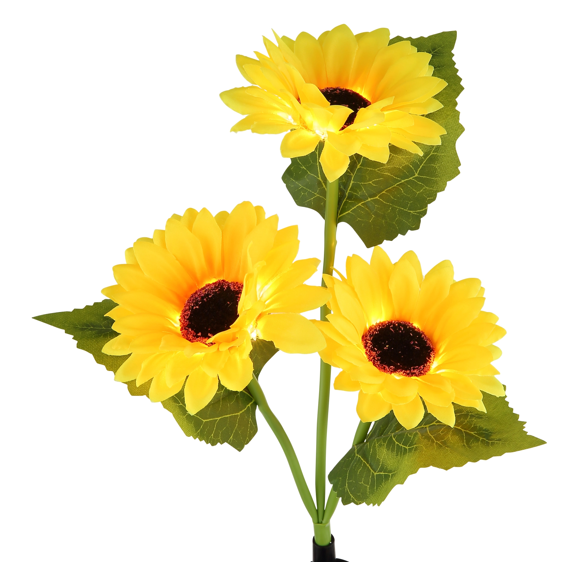SOLAR