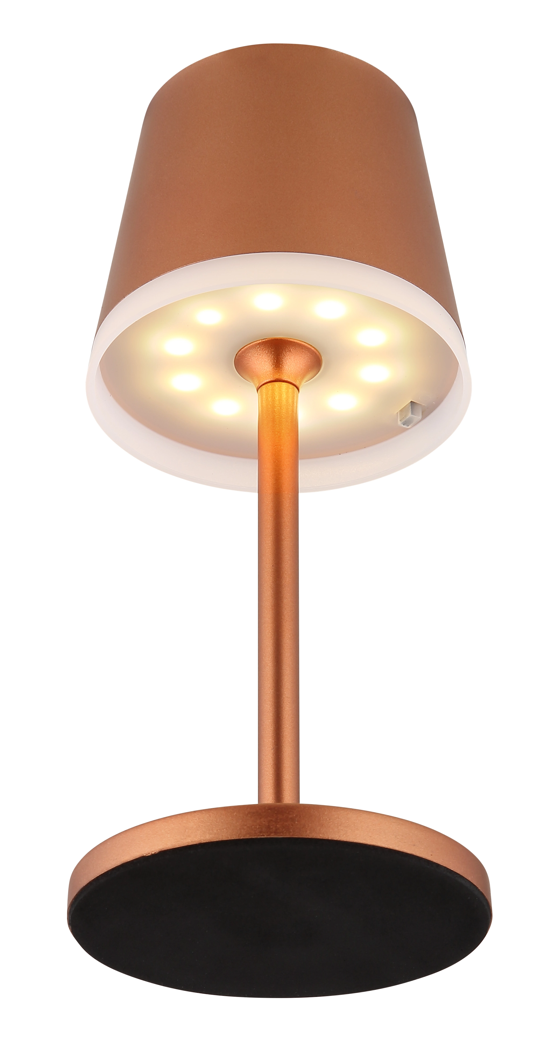 SOLARLEUCHTE METALL CHAMPAGNERFARBEN, 10XLED