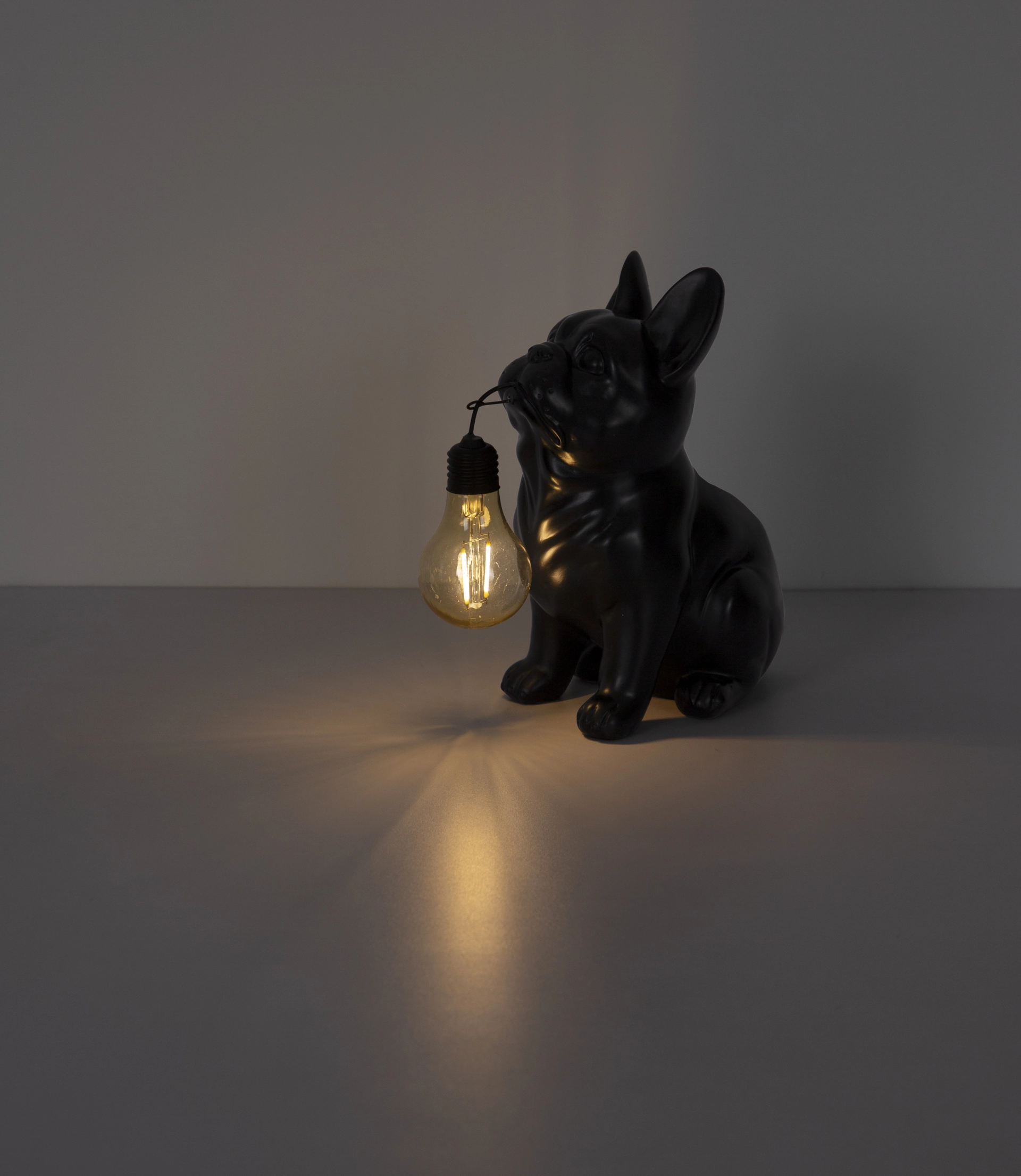 SOLARLEUCHTE KUNSTSTOFF SCHWARZ MATT, 1XLED