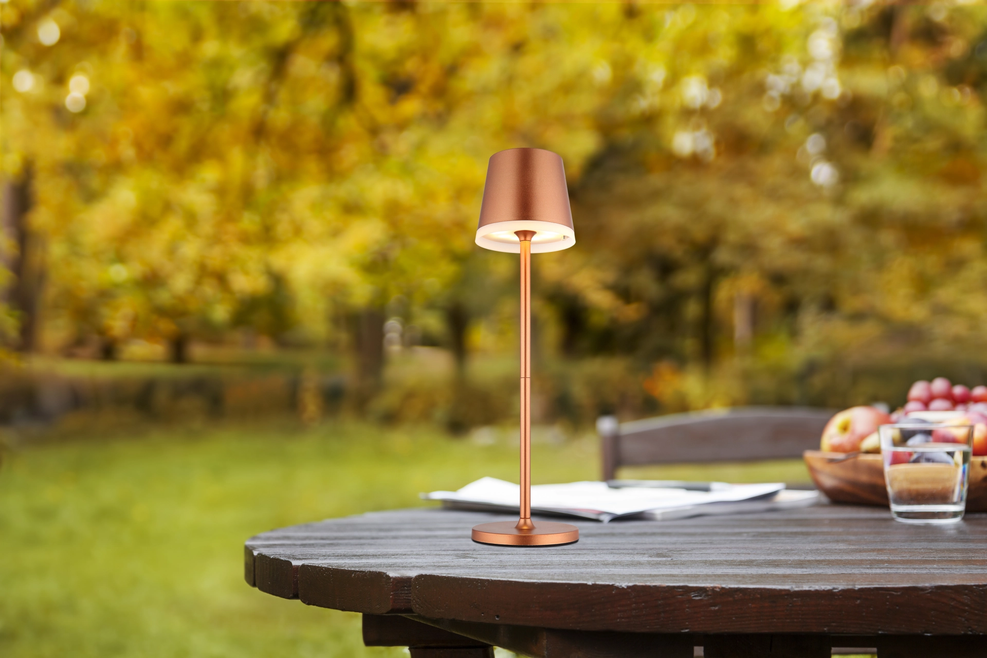 SOLARLEUCHTE METALL CHAMPAGNERFARBEN, 10XLED