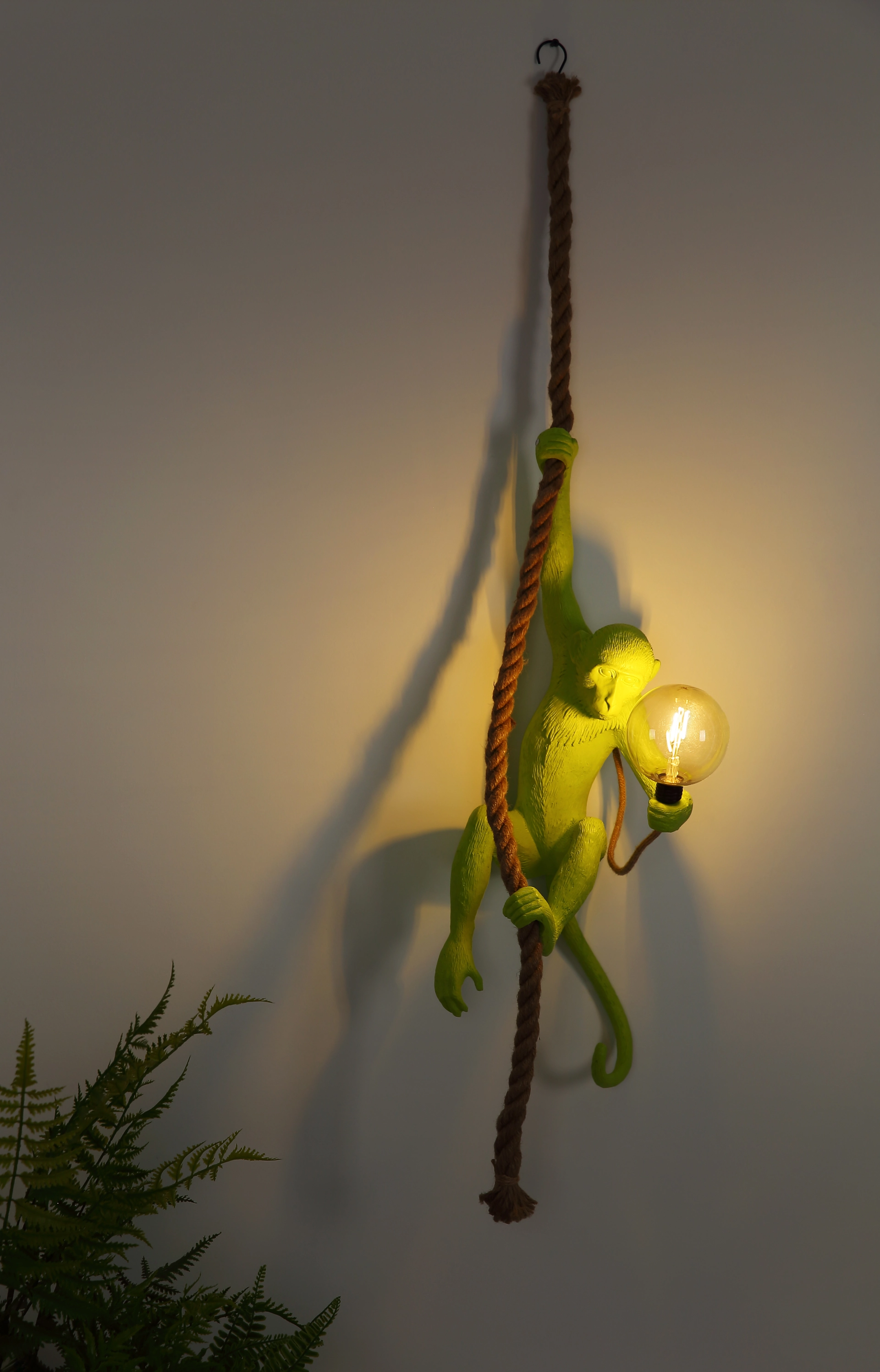 MOKI