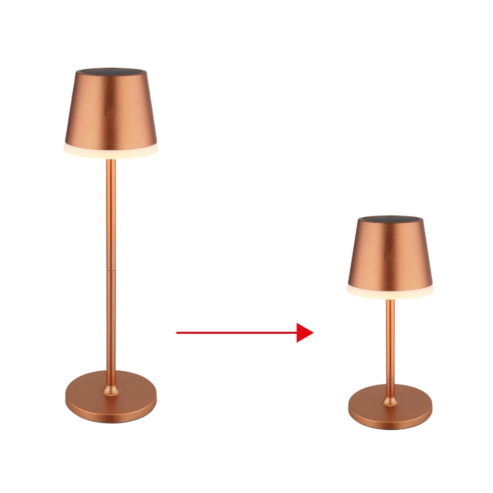 SOLARLEUCHTE METALL CHAMPAGNERFARBEN, 10XLED