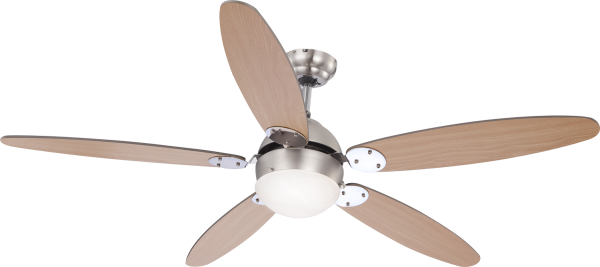 Ceiling fan with lighting and fan pull switch light lamp metall graphite beech 